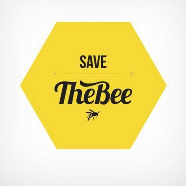 Save The Honeybees: What The Buzz Is All About