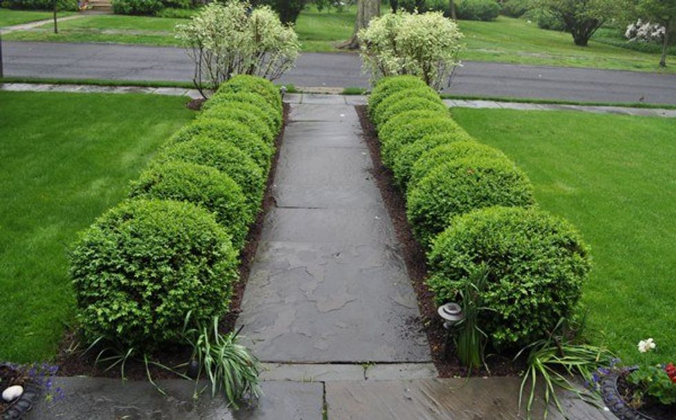 To Emily And Her Mother