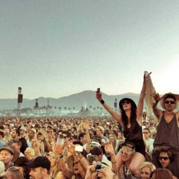 Declassified Festival Survival Guide