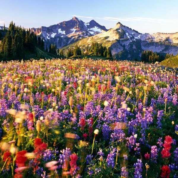 Top 10 National Parks in the United States