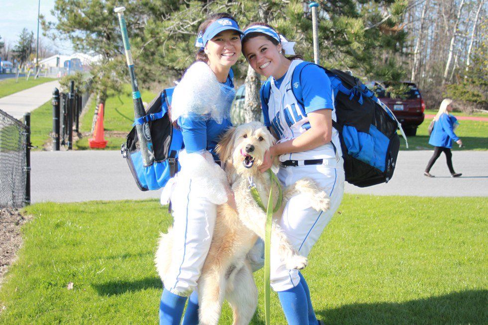 23 Reasons Dogs Are Awesome