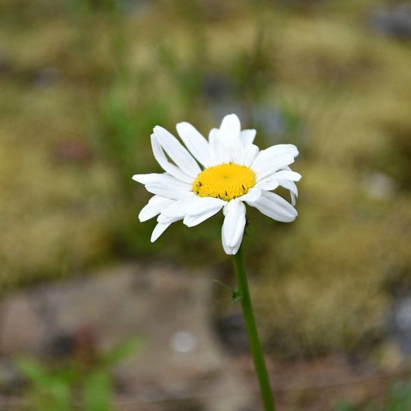 Why You Shouldn't Always Put Others First