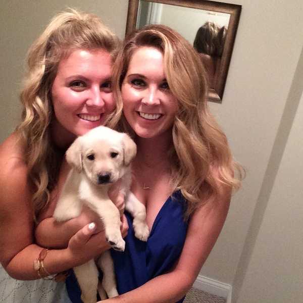 What Nobody Tells You About Getting A Dog