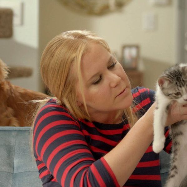 Six Lessons That Amy Schumer Taught Us