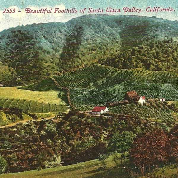 The Lost Orchards Of Silicon Valley
