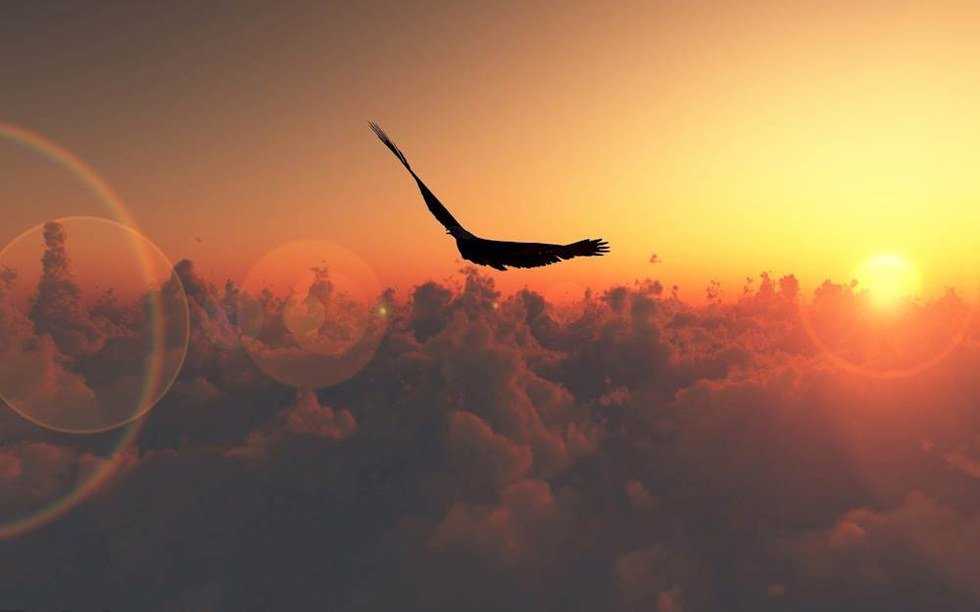 Freedom Found In Discipline
