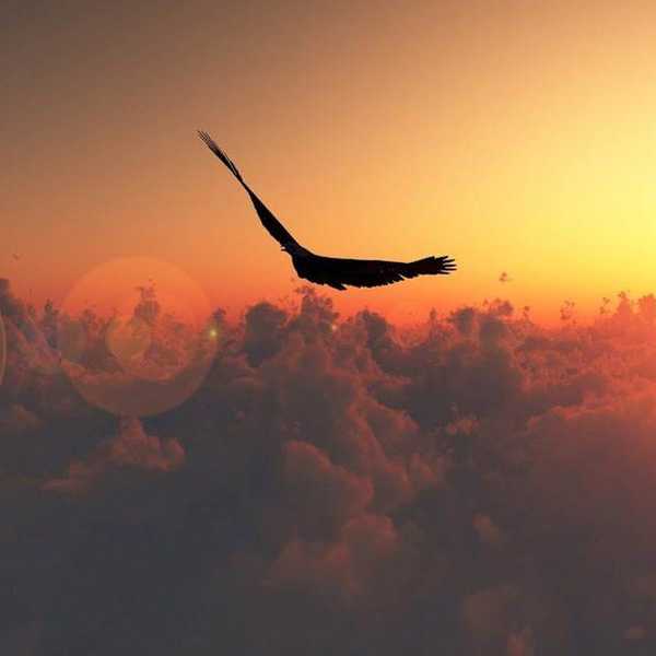 Freedom Found In Discipline