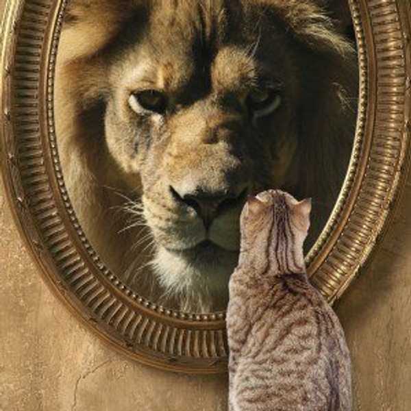 My Biggest Enemy Is Me