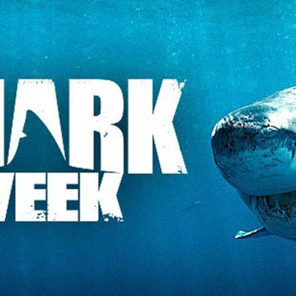 Shark Week: "Fish Are Friends, Not Food."