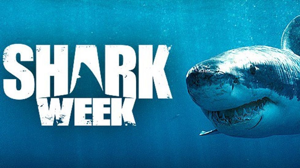 Shark Week: "Fish Are Friends, Not Food."