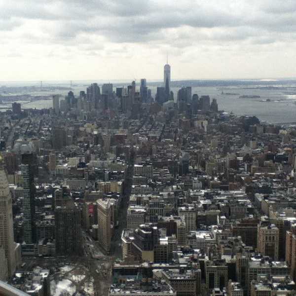 A Human In New York