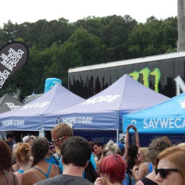 Vans Warped Tour and Non-Profits: Not Your Average Festival