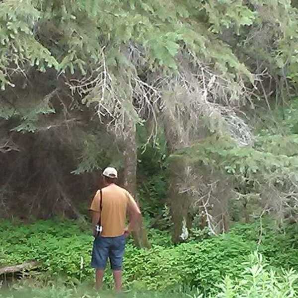 Going Off The Grid