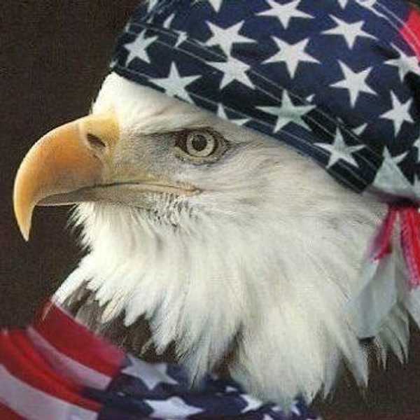 11 Reasons Why I'm Proud To Be An American