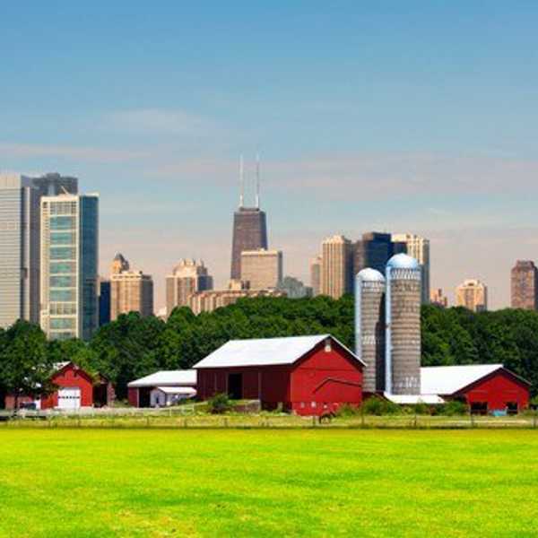 24 Struggles When Rural Goes Urban
