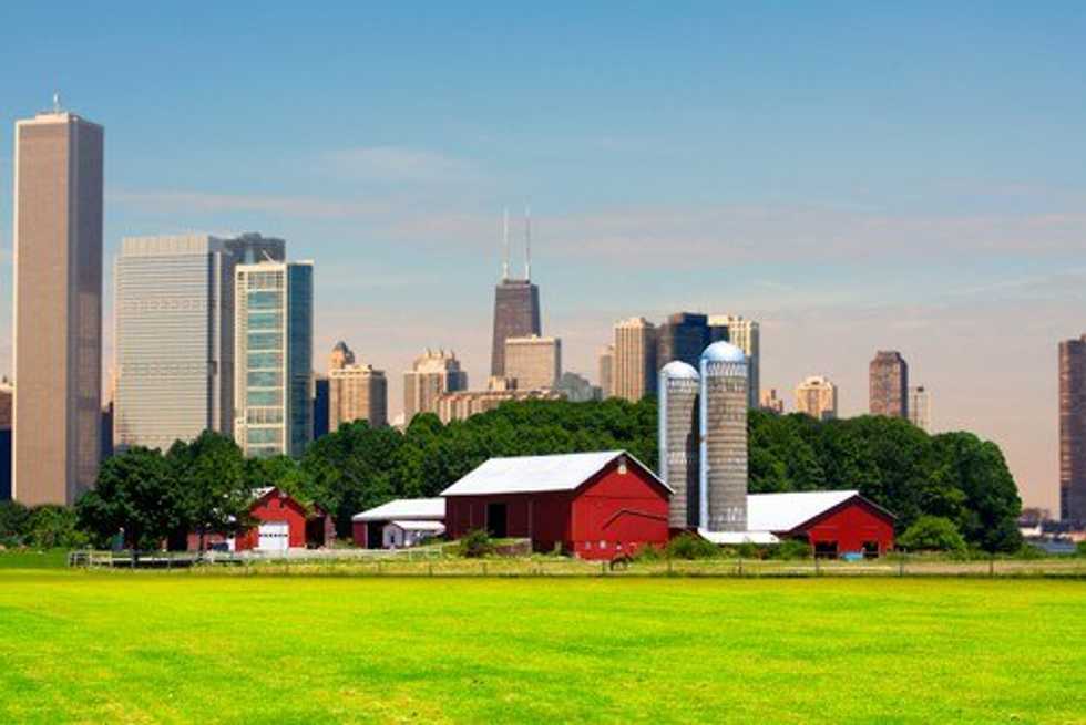 24 Struggles When Rural Goes Urban