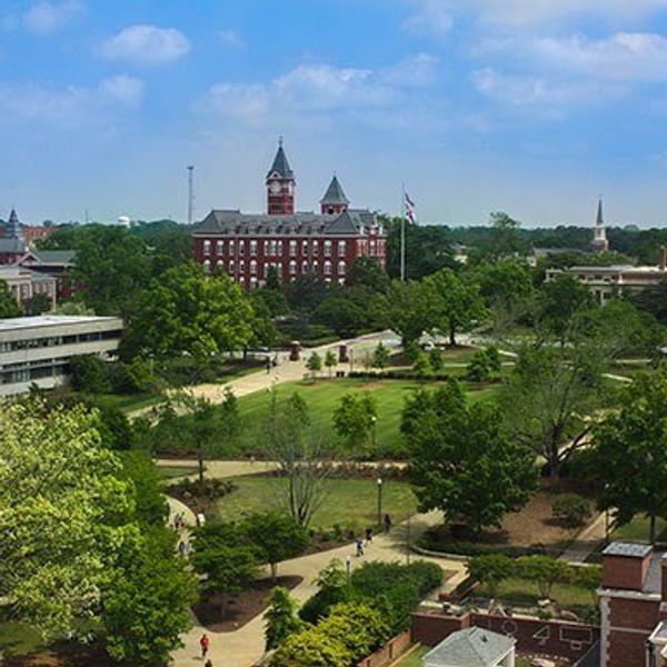 Why I'm Ready to Go Back to School