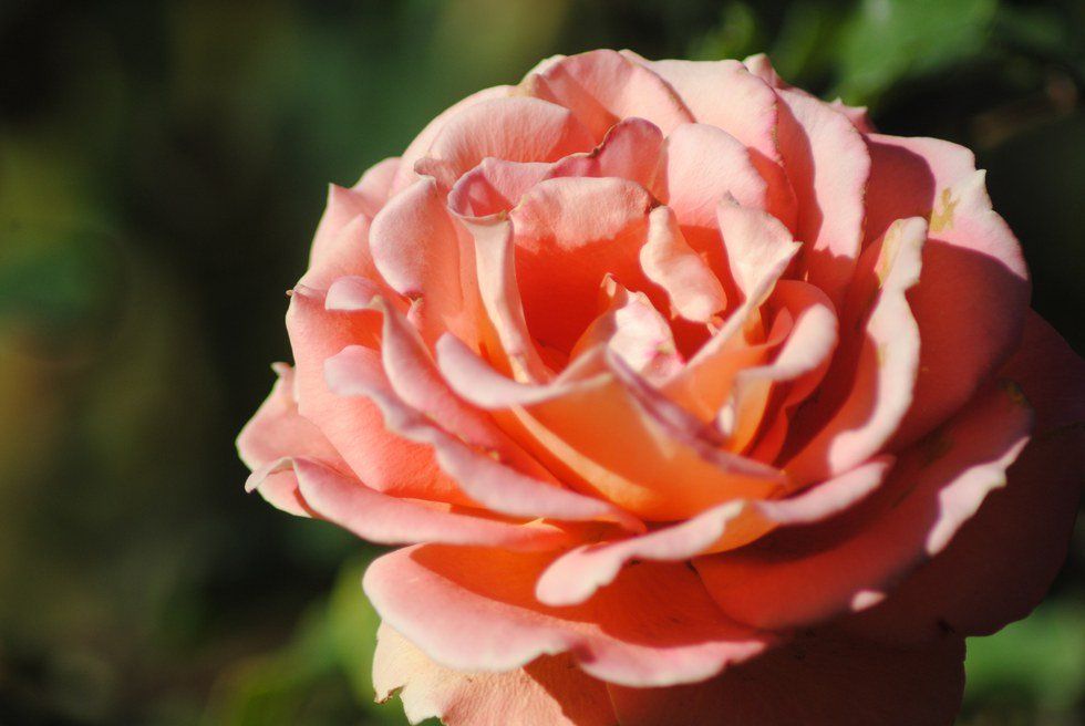 Eros Love: Why Does God Allow His People To Pursue Eros?