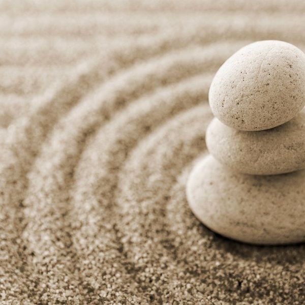 Behind the Mindfulness Craze