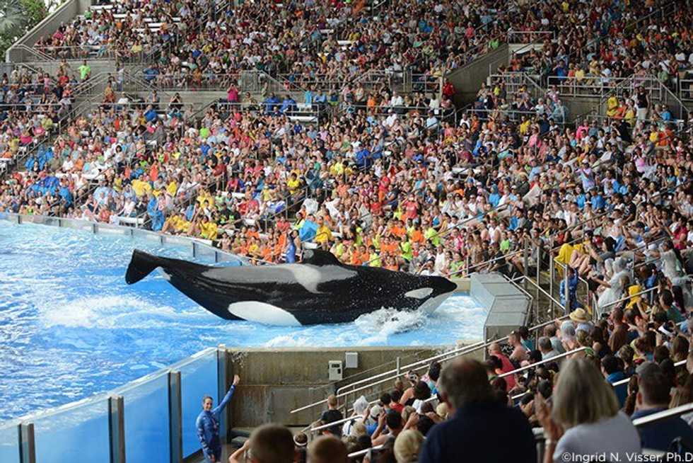 SeaWorld: A World Of Greed