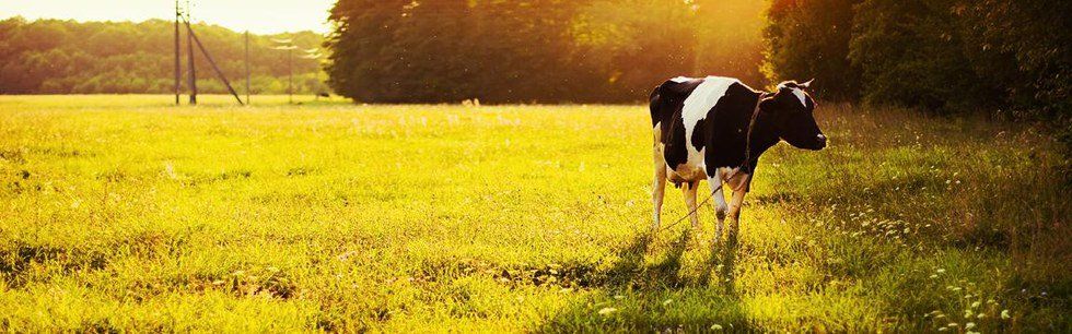 Why I Love Going To College In A Small Town