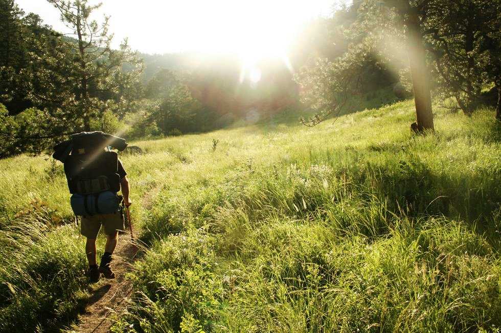 Six Reasons You Should Take A Hike