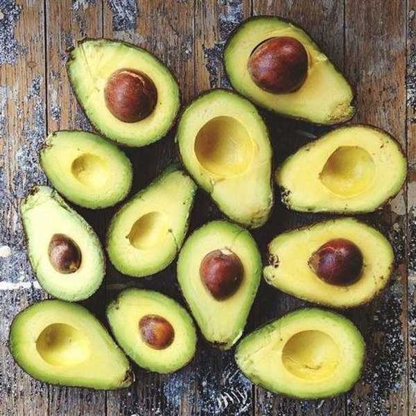 What Life is Like When You're Obsessed With Avocados