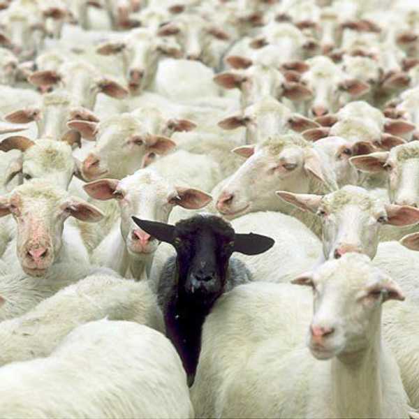 How Being Different Makes You A Better Person