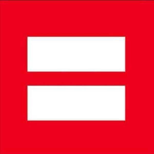 Thinking Critically About Marriage Equality
