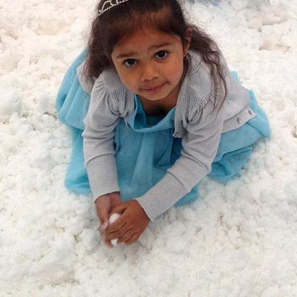 What We Can Learn From the Elsa Scandal