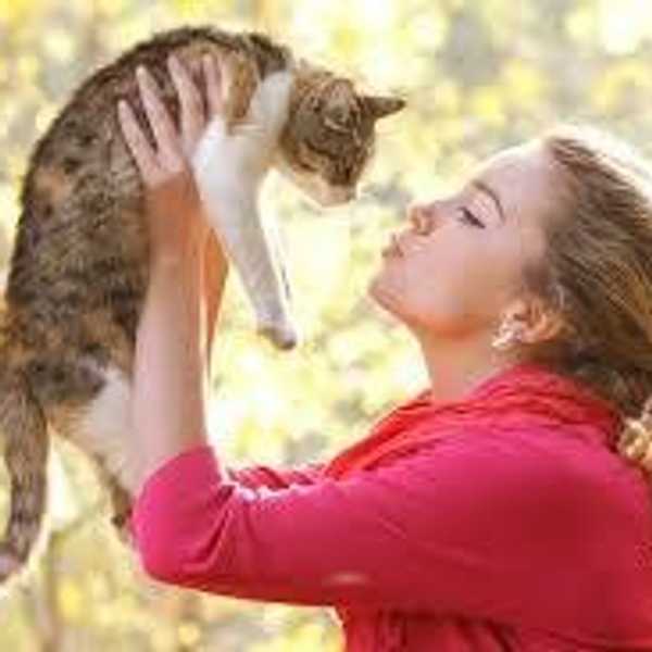 Six Reasons Everyone Should Have A Pet In College