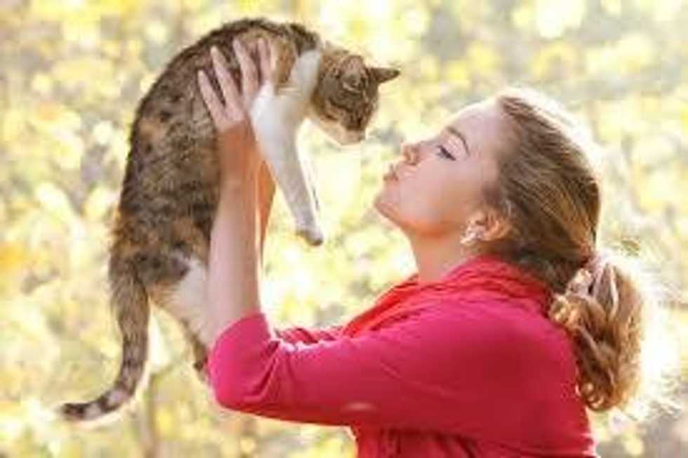 Six Reasons Everyone Should Have A Pet In College