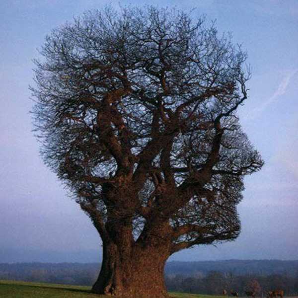 Psychology And Religion: What It Means To Be Mindful