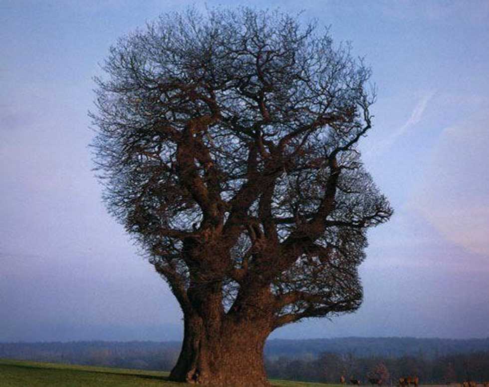 Psychology And Religion: What It Means To Be Mindful