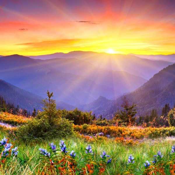 The Case For Waking Up Early
