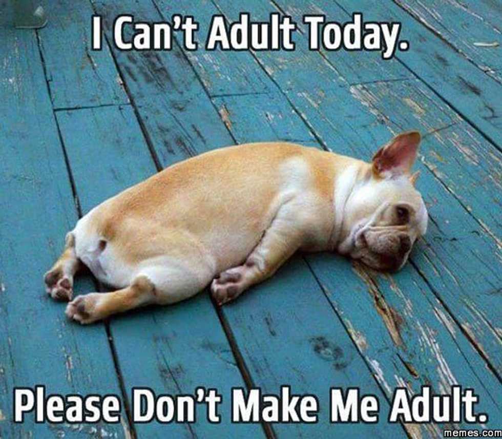 Adulting is Hard