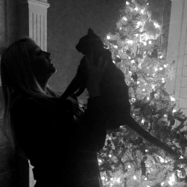 4 Reasons To Love Your Cat