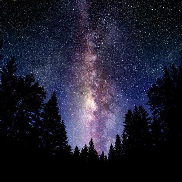 Everything You Love, You Will Eventually Lose: 500 Words on Loss