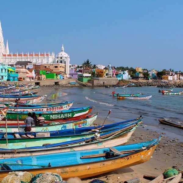Dosas And Samosas: Why India Is The Best Place To Study Abroad