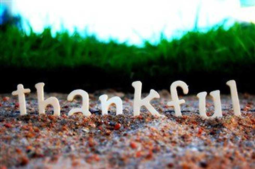 35 Words Of Gratitude