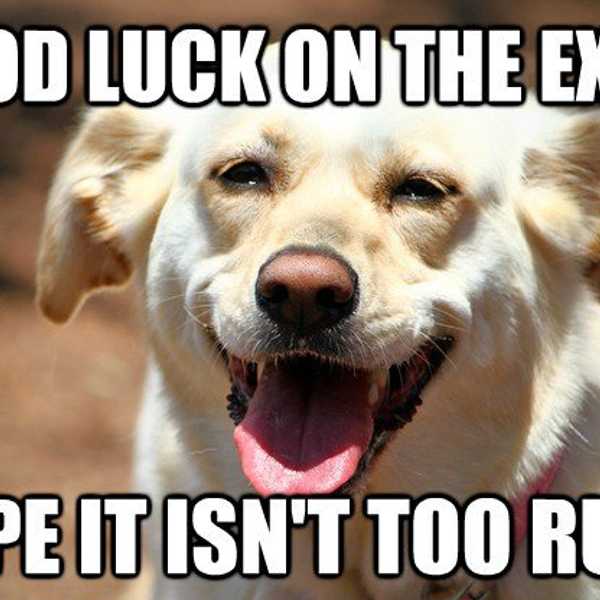 10 Thoughts to Get You Through Finals Week