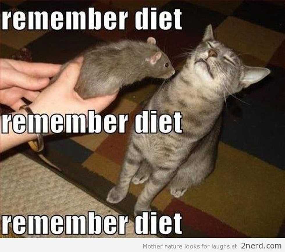 How To: Diet The Right Way