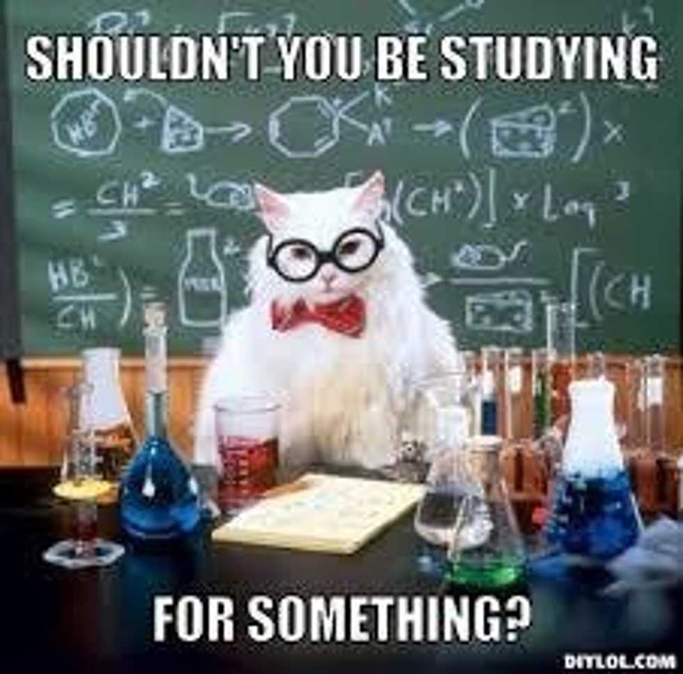 Finals Week as Told by Cats