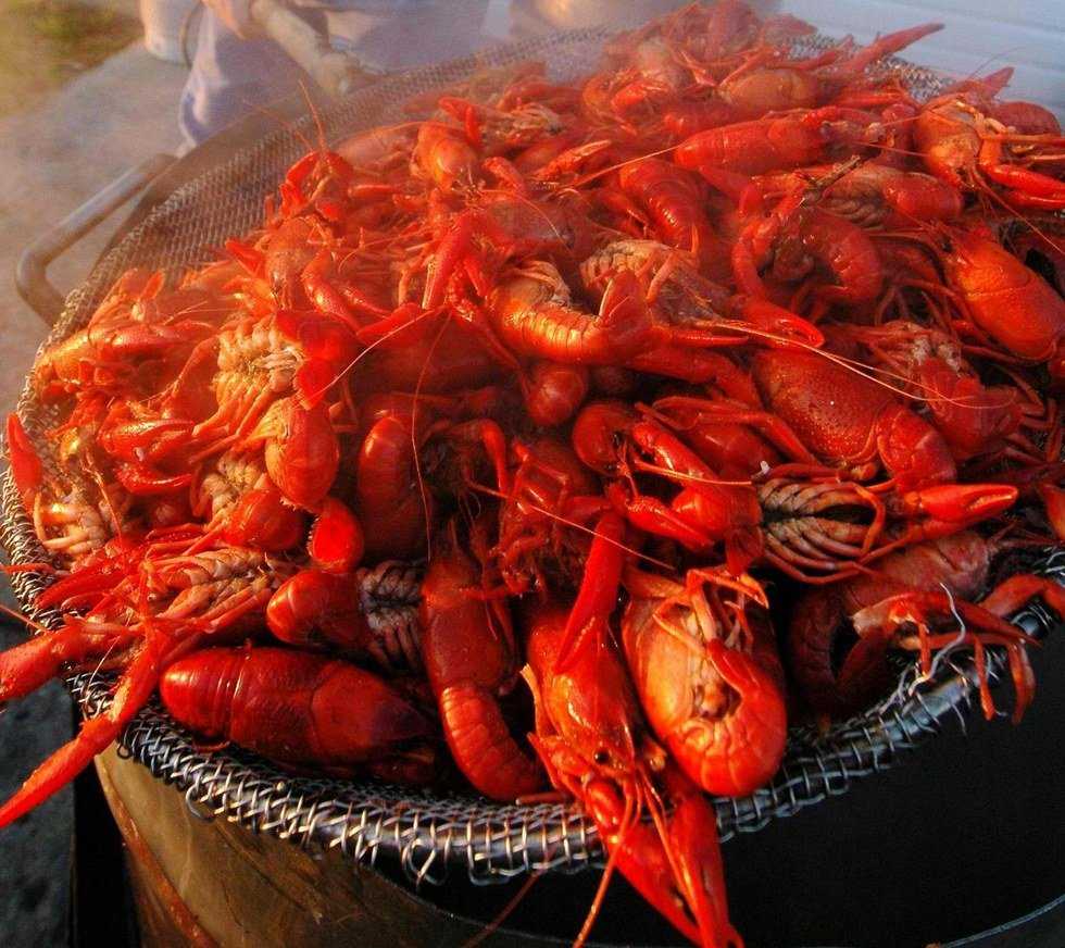 An Ode to Crawfish