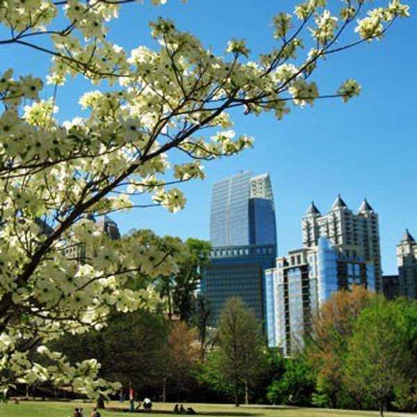 This Weekend: Atlanta's 79th Annual Dogwood Festival
