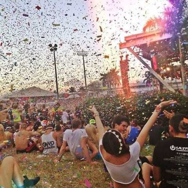 Music Festivals: The Euphoria, The Misery