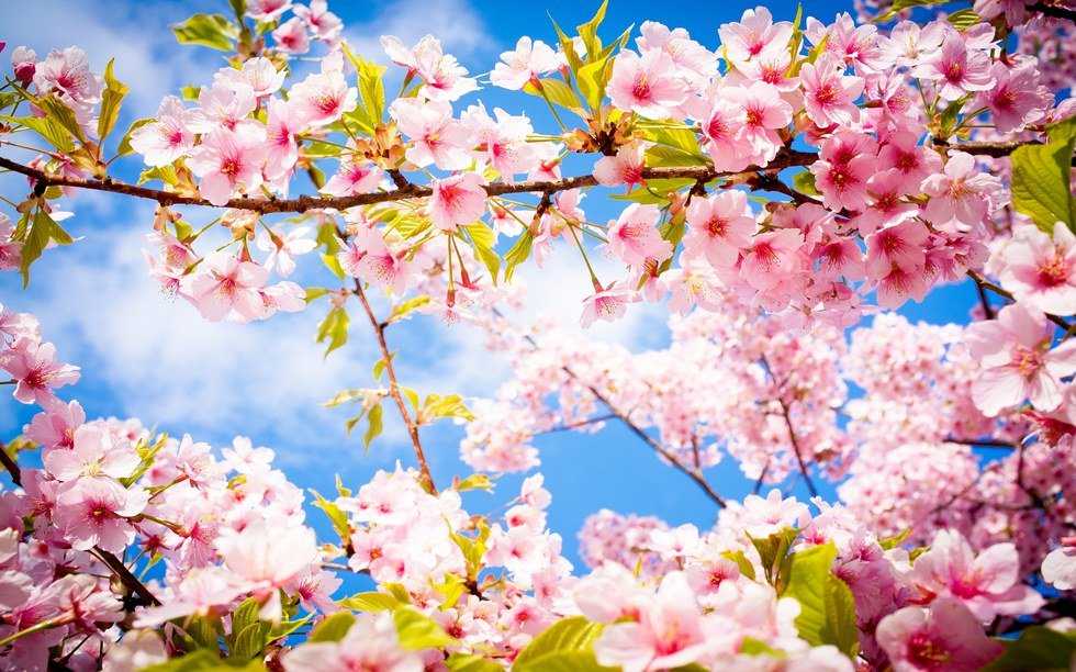 10 Ways to Have a Successful Spring Term