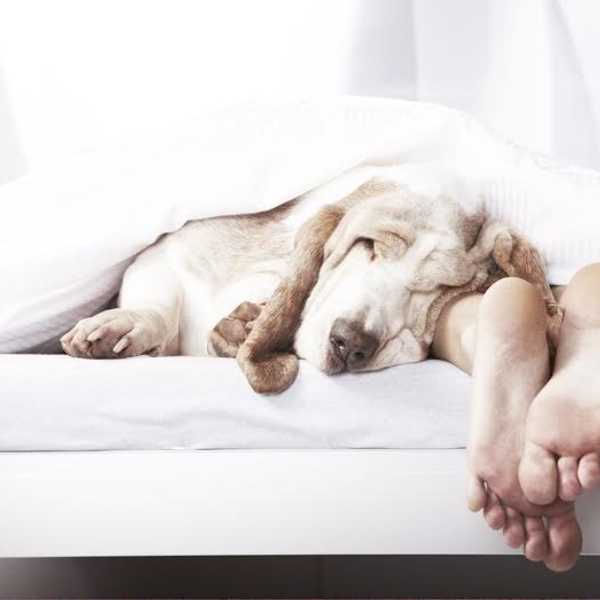 Sleep: The Most Important Part of Your Day