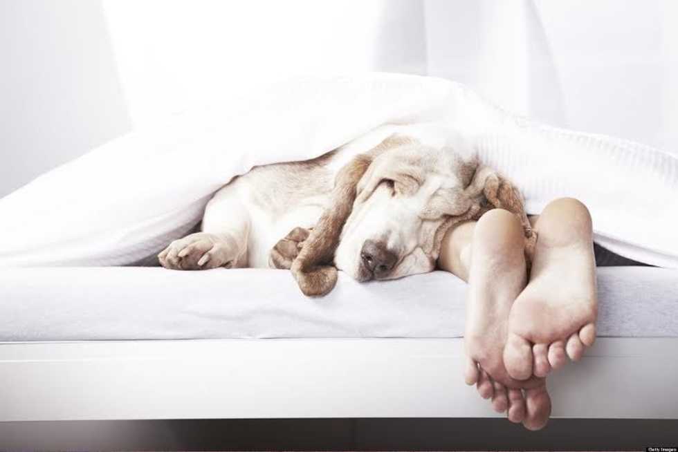 Sleep: The Most Important Part of Your Day