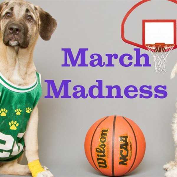 March Madness in Layman's Terms